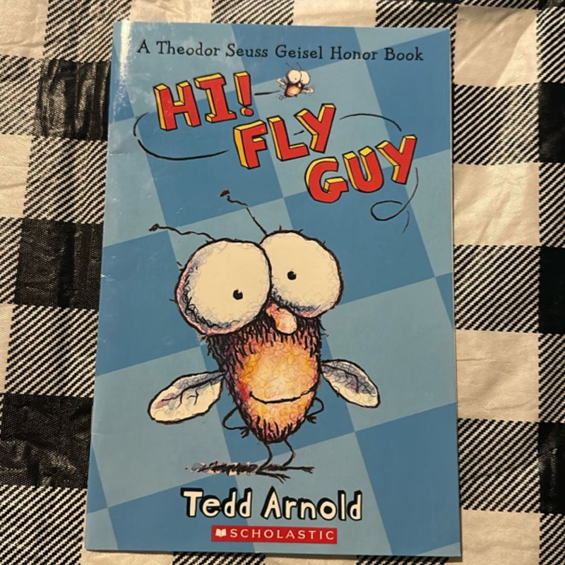 Fly Guy, Lego and Others Bundle