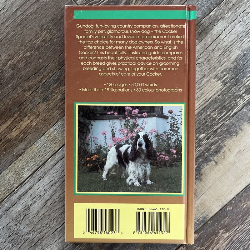 A Dog Owner’s Guide to American and English Cocker Spaniels