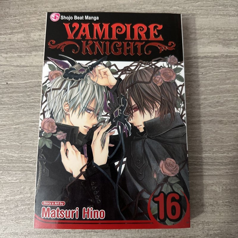 Vampire Knight, Vol. 16