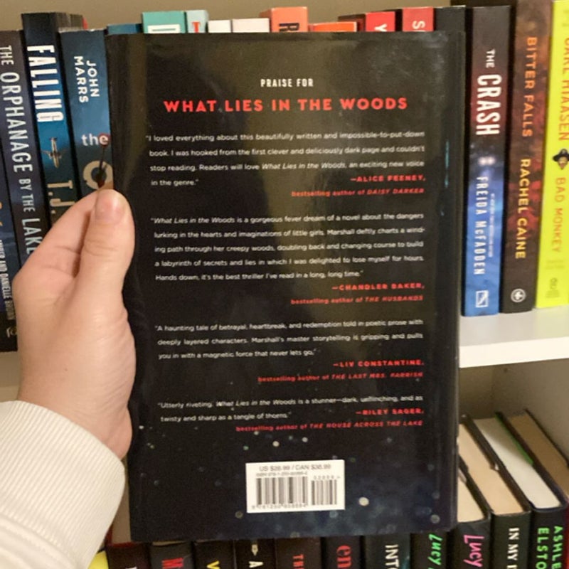 What Lies in the Woods