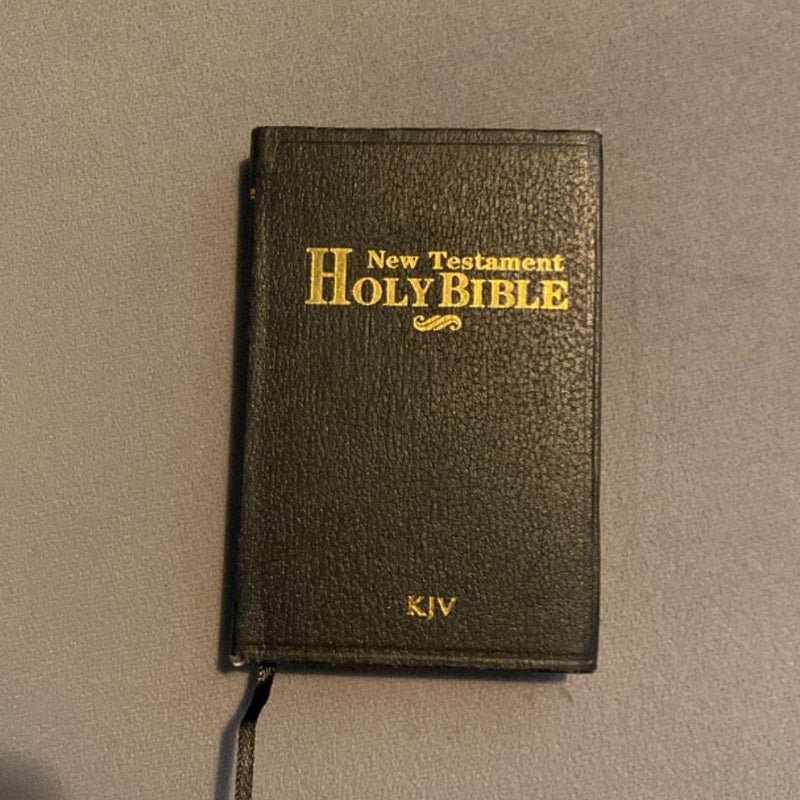 New Testament Holy Bible (mini book)