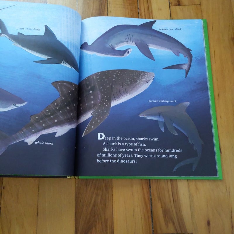 Little Golden Books Sharks, Dinosaurs, Bugs