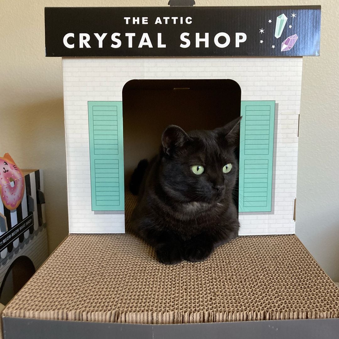blackcatbooks