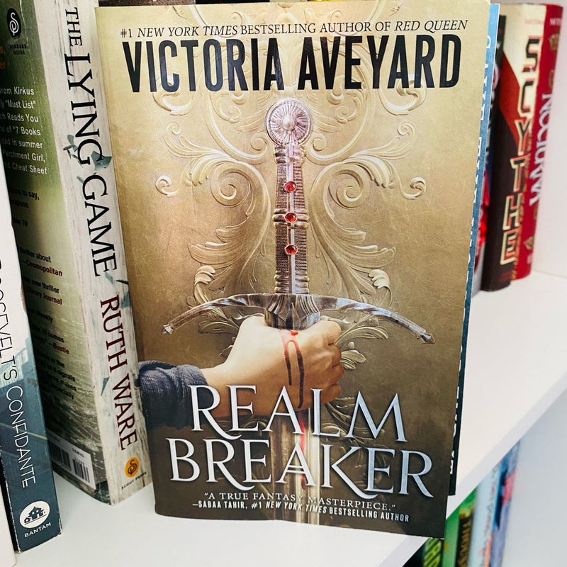 Realm Breaker