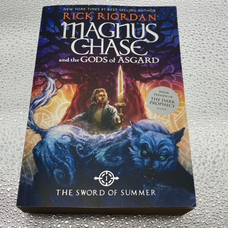Magnus Chase and the Gods of Asgard Book 1 the Sword of Summer (Magnus Chase and the Gods of Asgard Book 1)