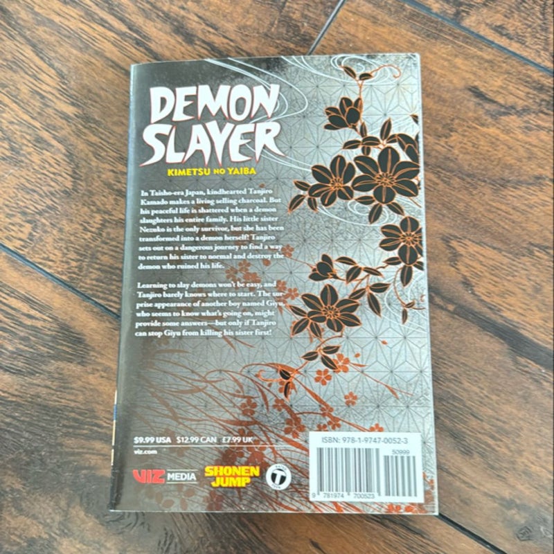 Demon Slayer: Kimetsu No Yaiba, Vol. 1