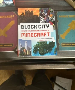3 Minecraft books 