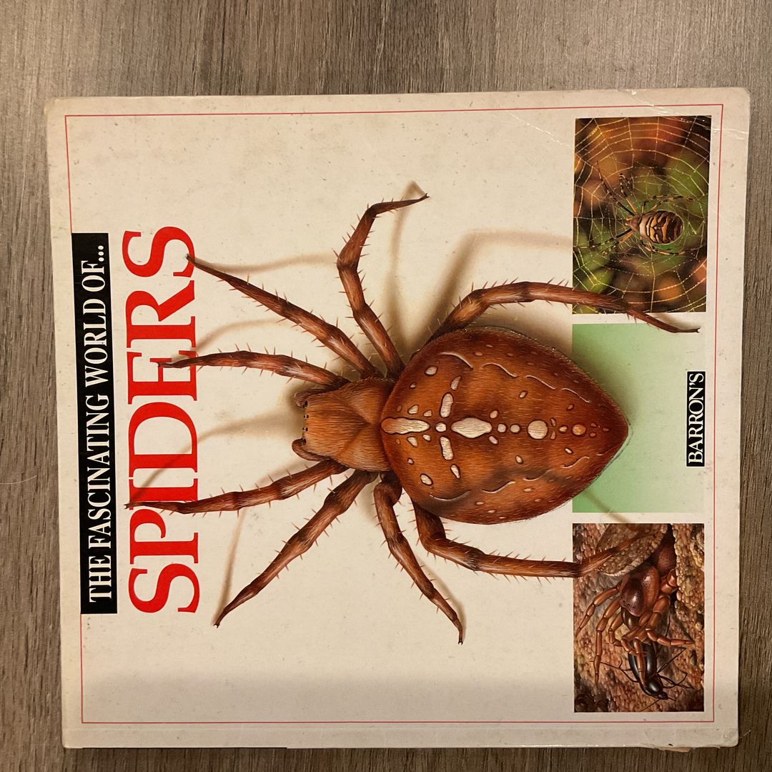 Fascinating World of Spiders