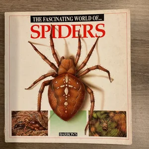 Fascinating World of Spiders
