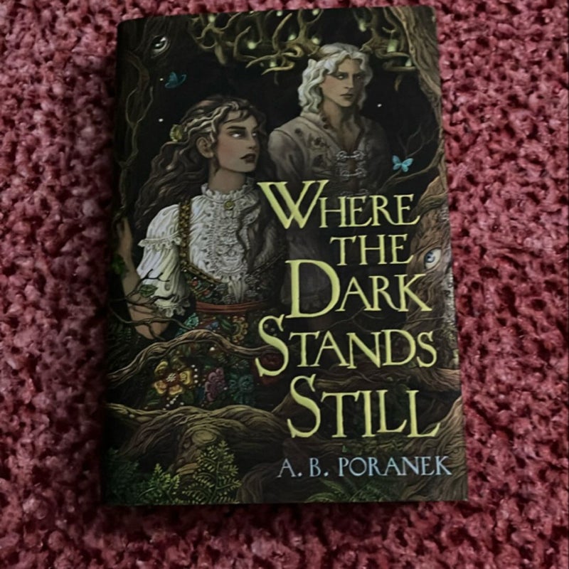 Where the Dark Stands Still