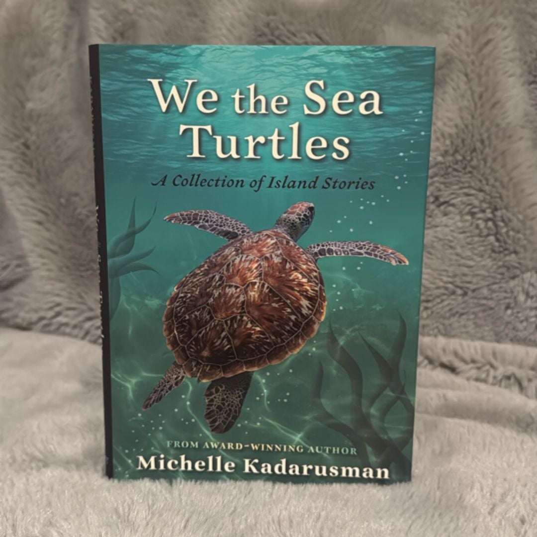 We the Sea Turtles
