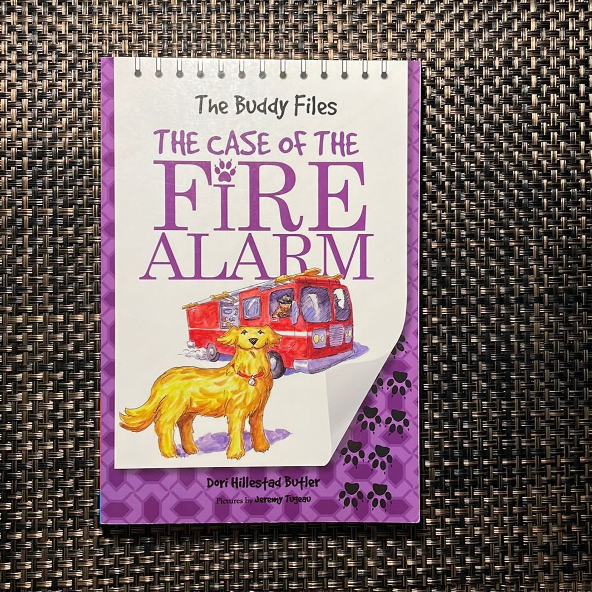 The Case of the Fire Alarm by Dori Hillestad Butler