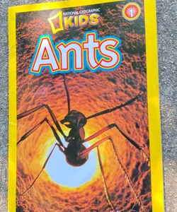 Kids Ants