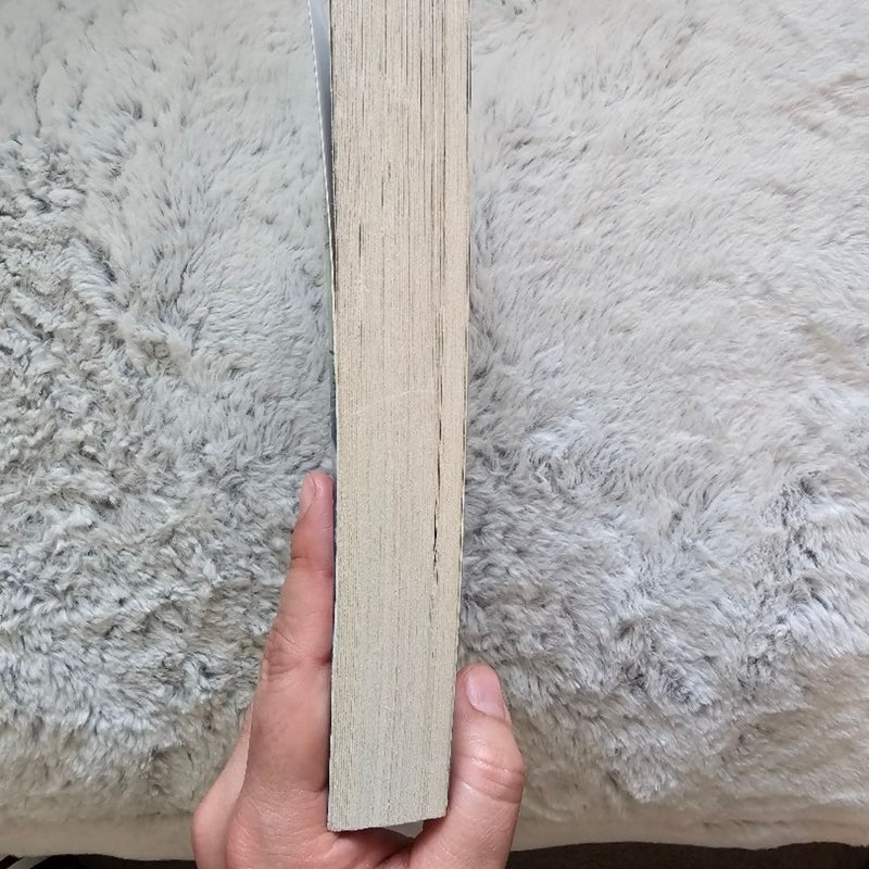 The Woman in Cabin 10