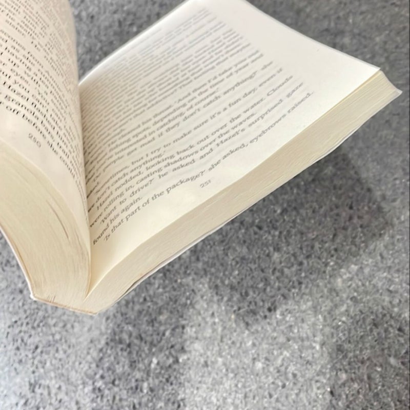The Cinnamon Bun Book Store (Dream Harbor, Book 2)