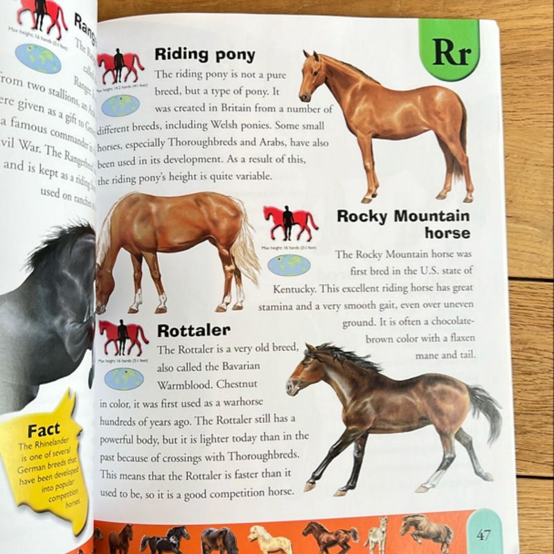 Horse Dictionary