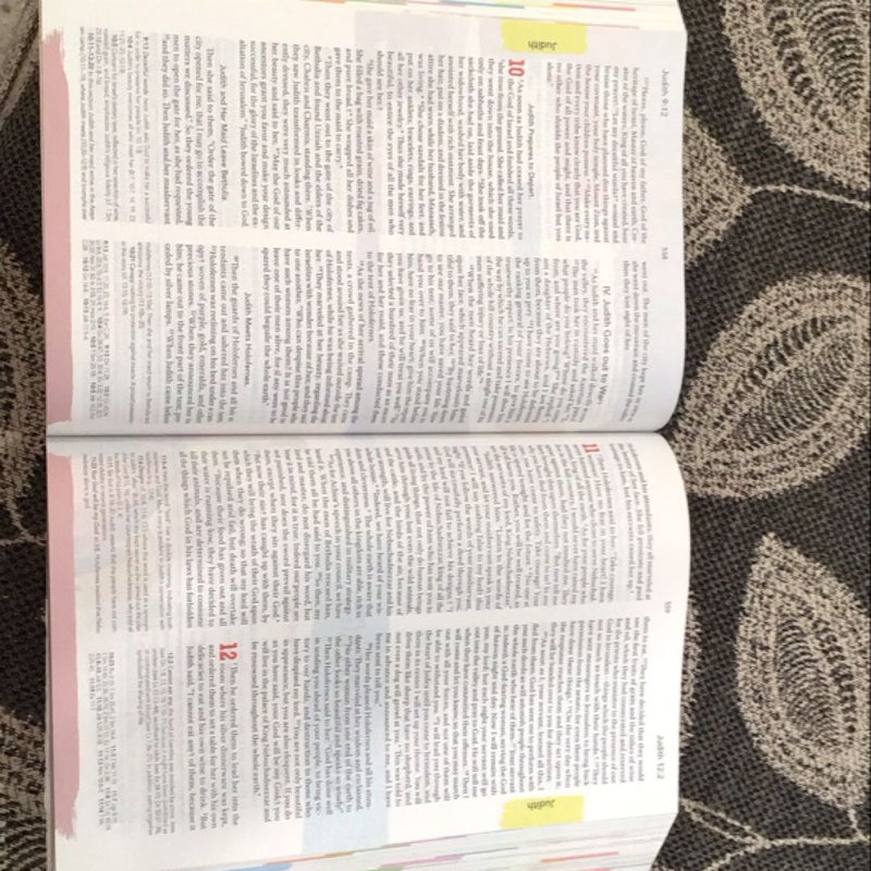 The Catholic Youth Bible