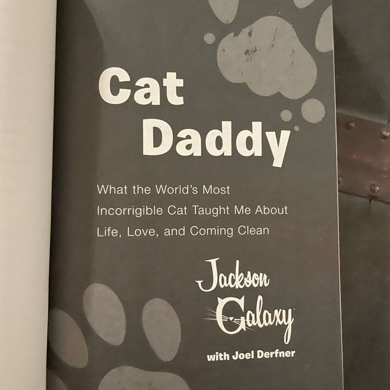 Cat Daddy