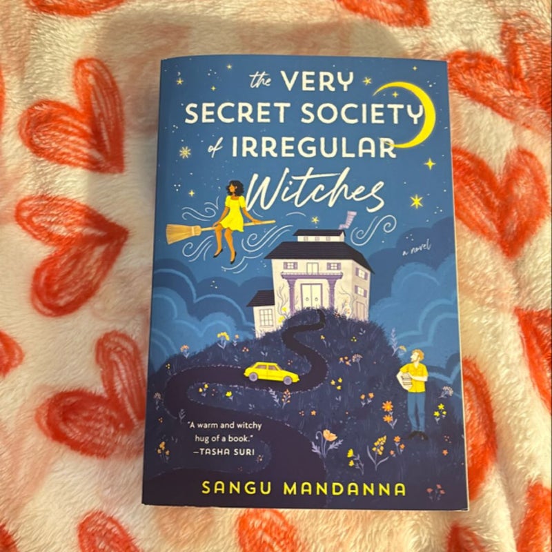 The Very Secret Society of Irregular Witches