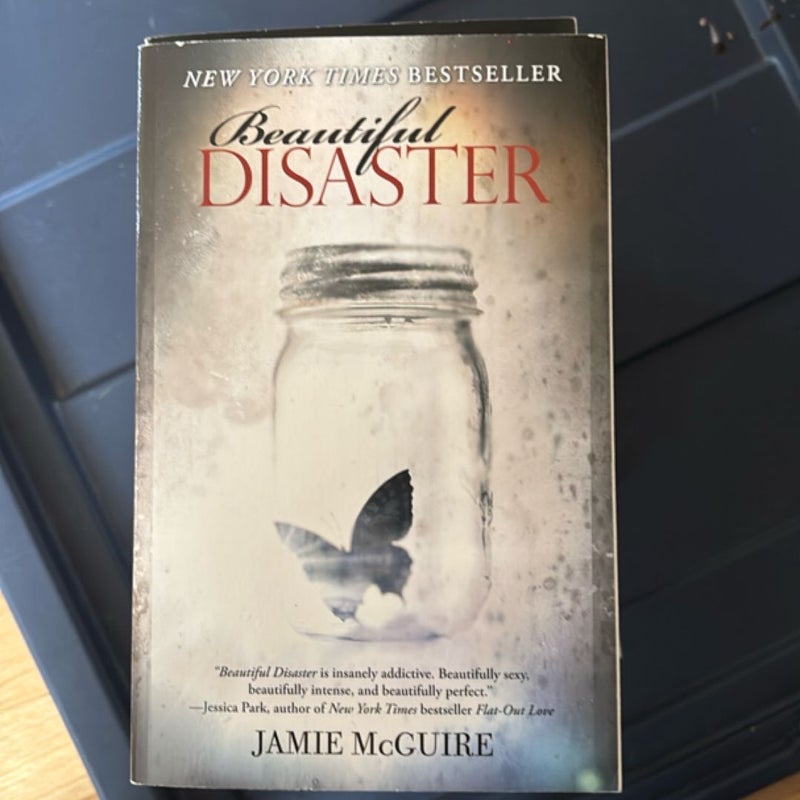 Beautiful Disaster