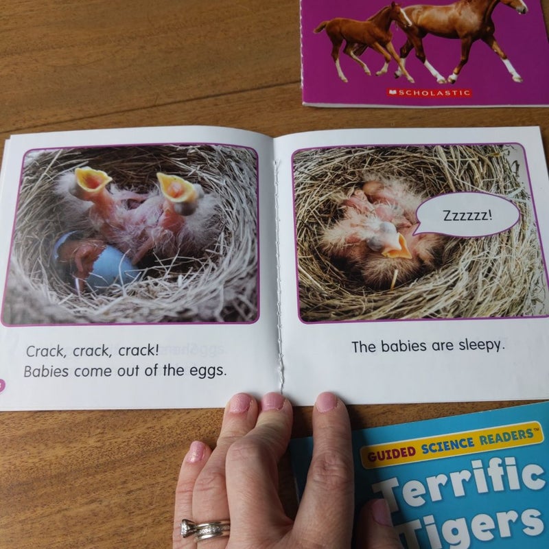 Guided Science Readers level E&F