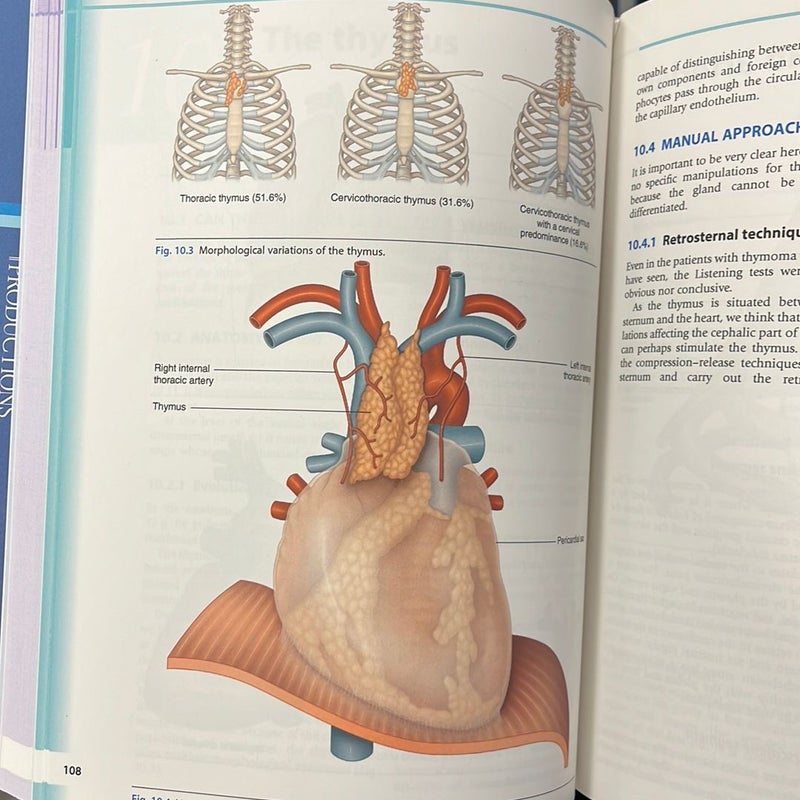 Visceral Vascular Manipulations by Jean-Pierre Barral; Alain