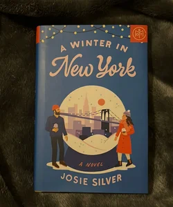 A Winter in New York