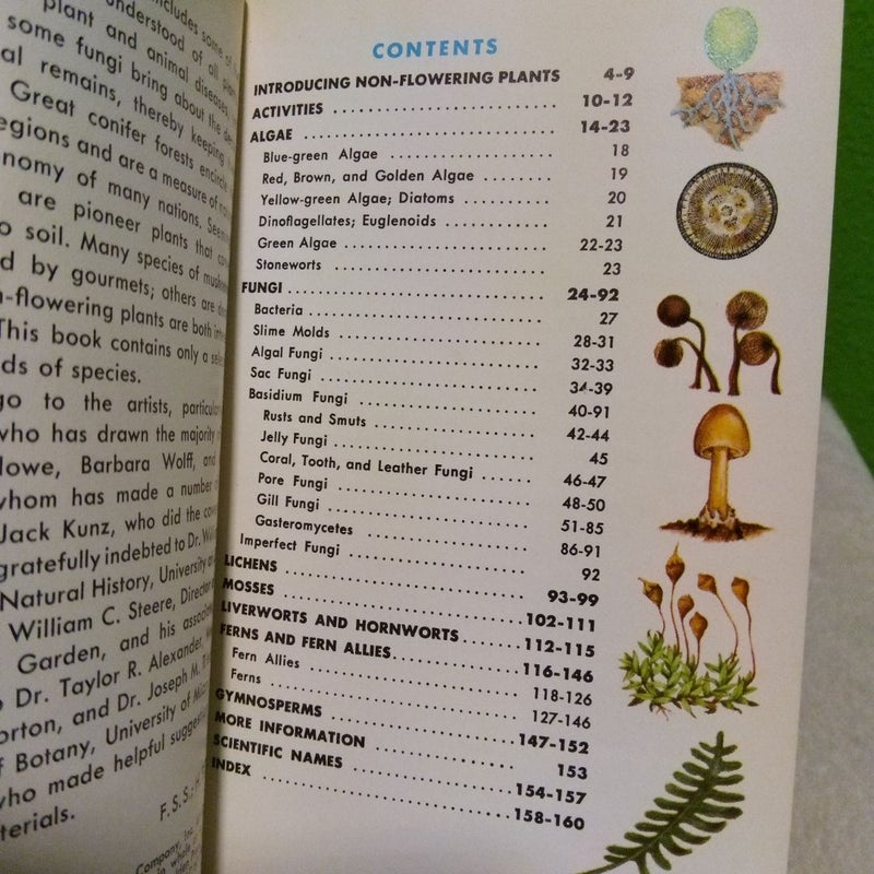 Non-Flowering Plants - Vintage 1967