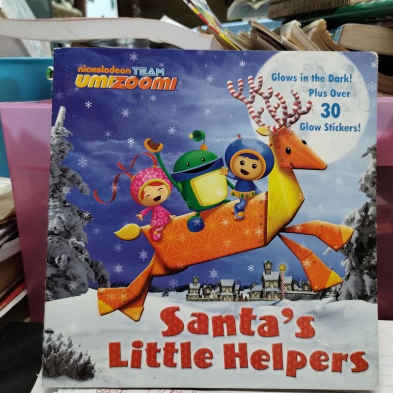 Santa little Helper 