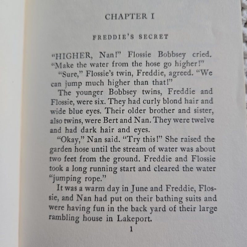 The Bobbsey Twins: The Adventure in the Country