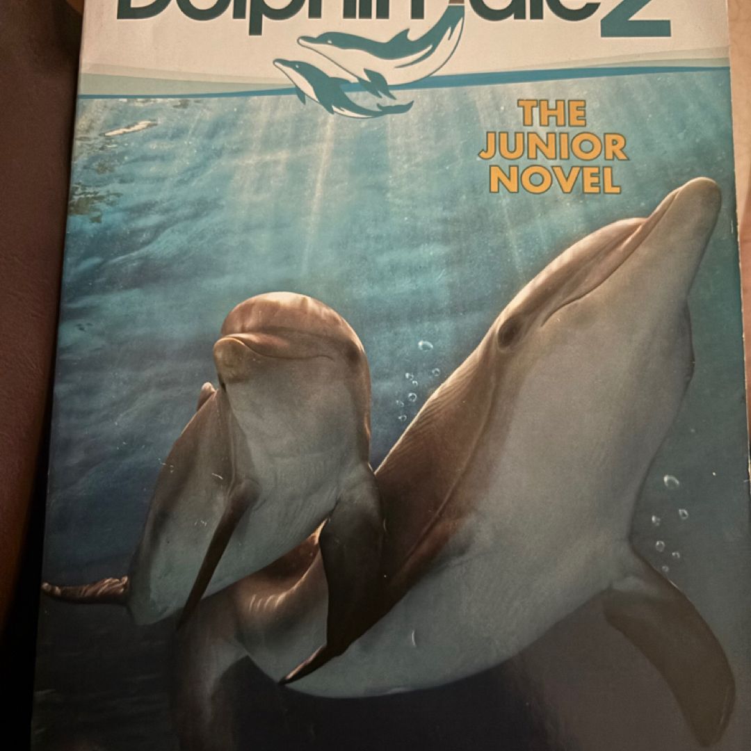 Dolphin Tale 2