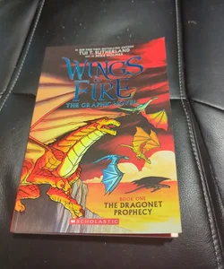 Wings of fire book 1