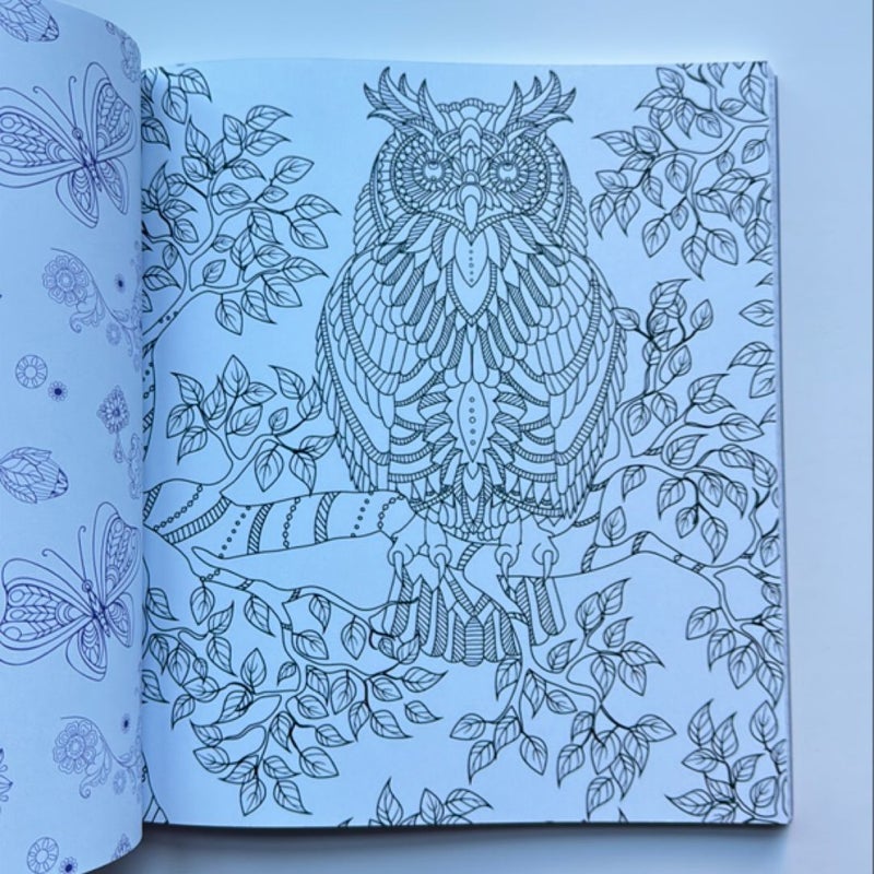 Enchanted Forest Coloring Book