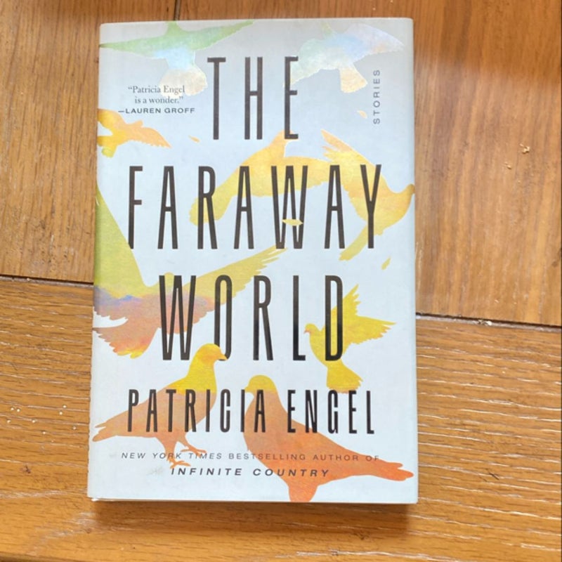 The Faraway World