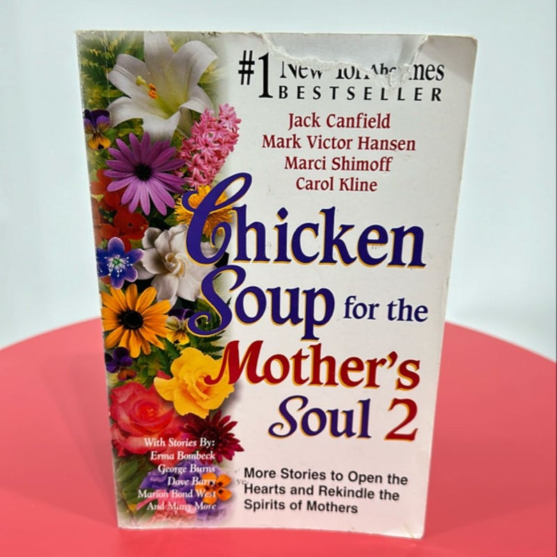 Chicken Soup for the Mother's Soul 2