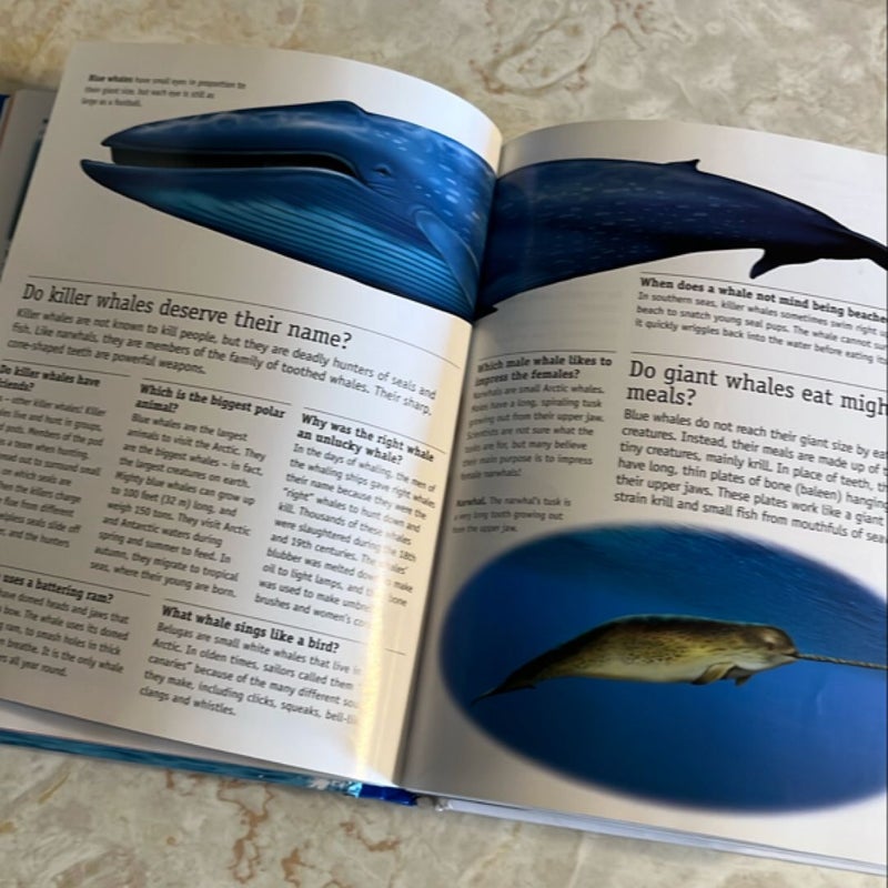 1100 Questions and Answers about the Natural World