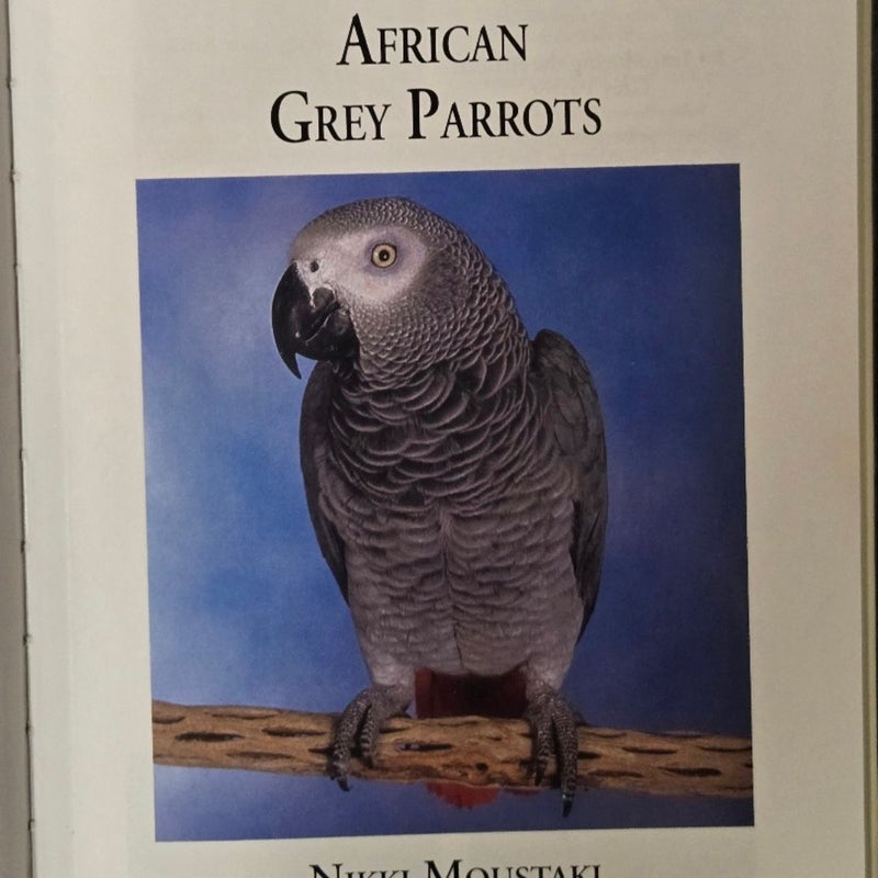 African Gray Parrots