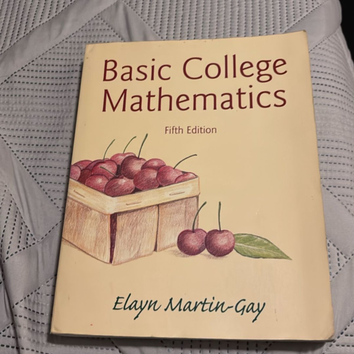 Basic College Mathematics by Elayn Martin-Gay
