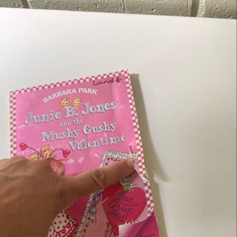 Junie B. Jones #14: Junie B. Jones and the Mushy Gushy Valentime