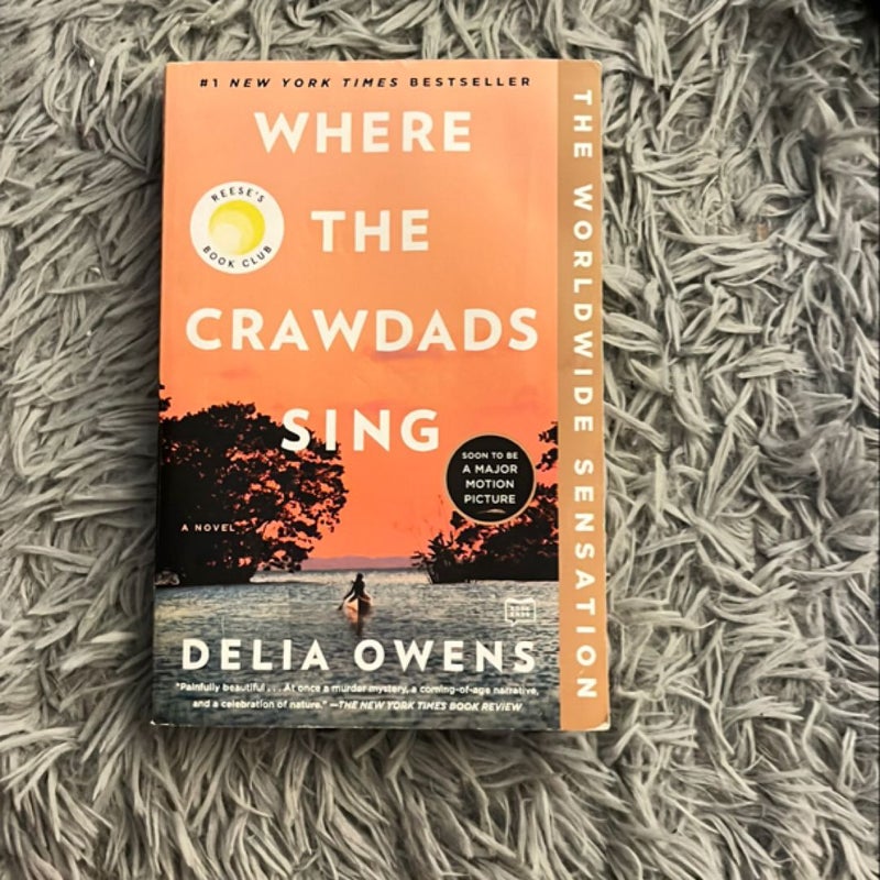 Where the Crawdads Sing
