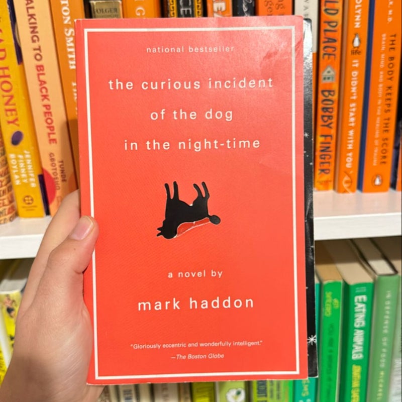 The Curious Incident of the Dog in the Night-Time