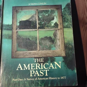 The American Past