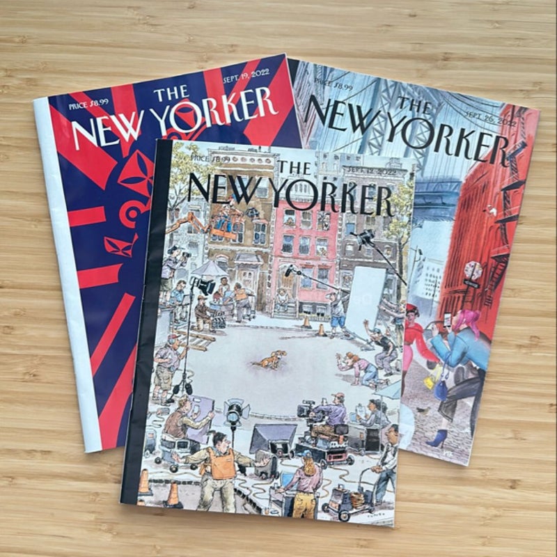 The New Yorker (bundle 12)