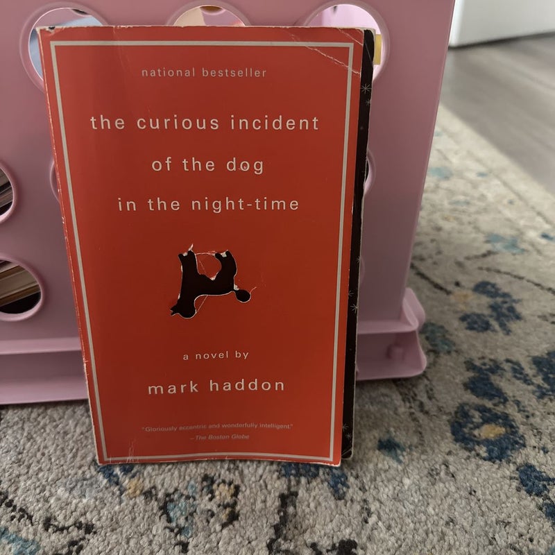 The Curious Incident of the Dog in the Night-Time