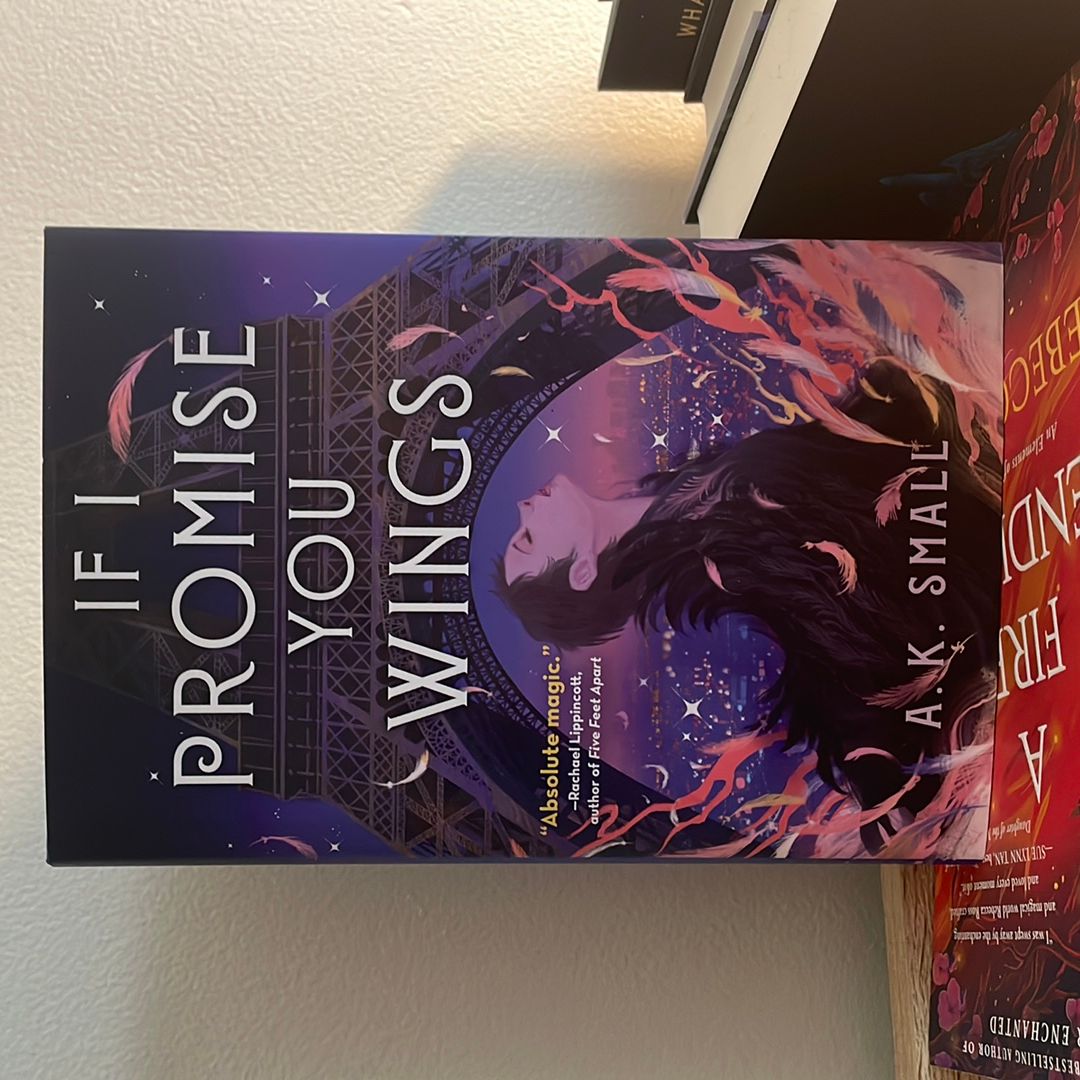If I Promise You Wings