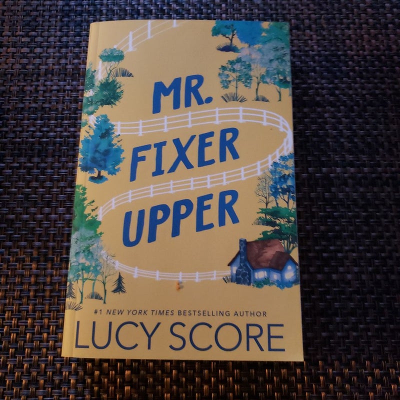 Mr. Fixer Upper