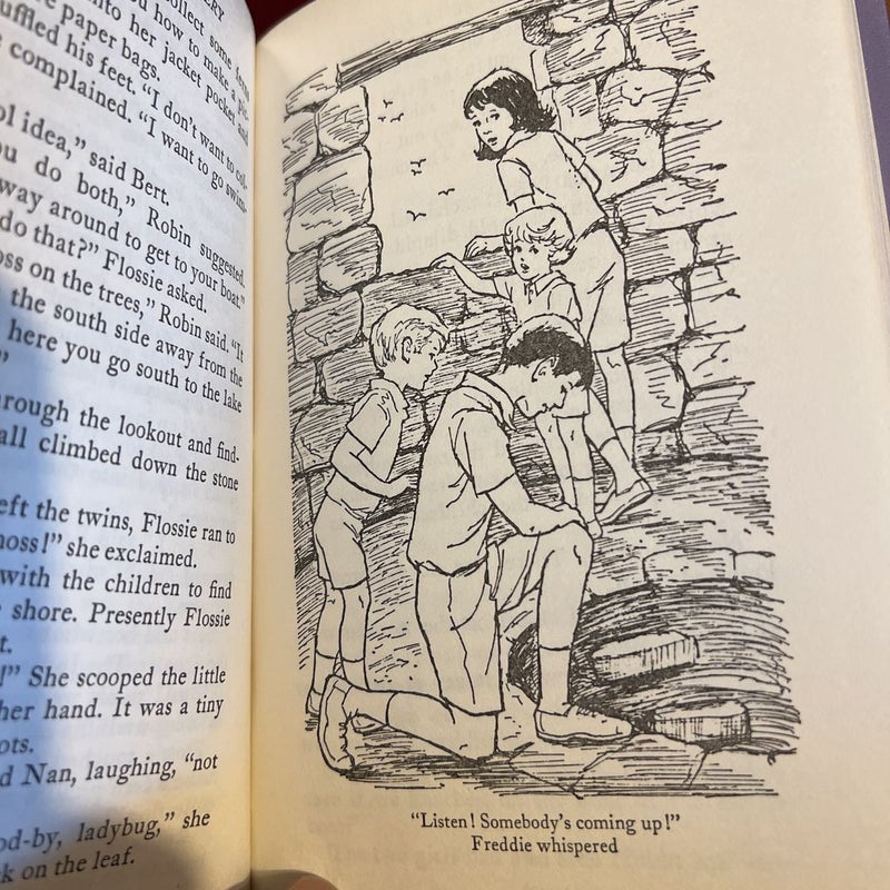 The Bobbsey Twins and the Doodlebug Mystery 