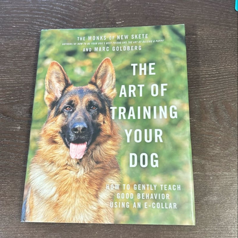 The Art of Training Your Dog