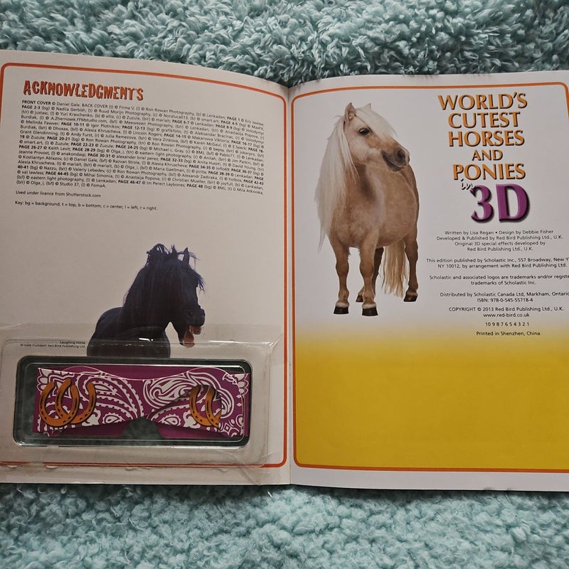 World's Cutest Horses and Ponies in 3D
