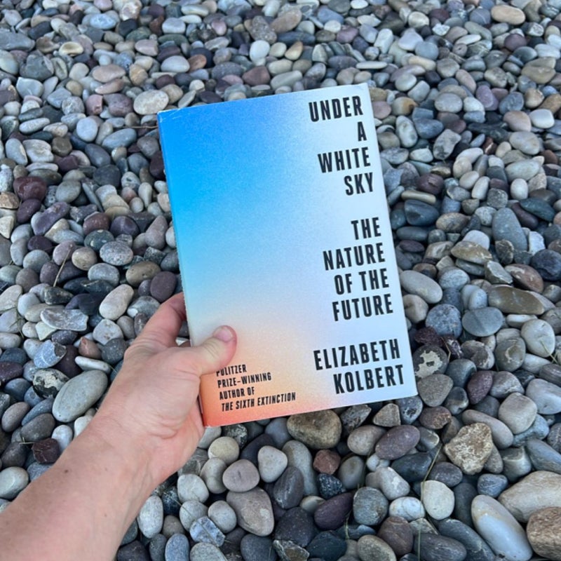 Under a White Sky